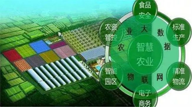 全程追溯,用數據把好農產品“生產關”